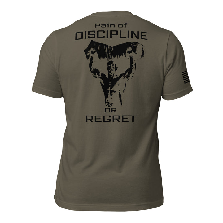 Pain of Discipline or Regret