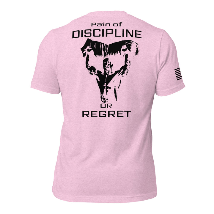 Pain of Discipline or Regret