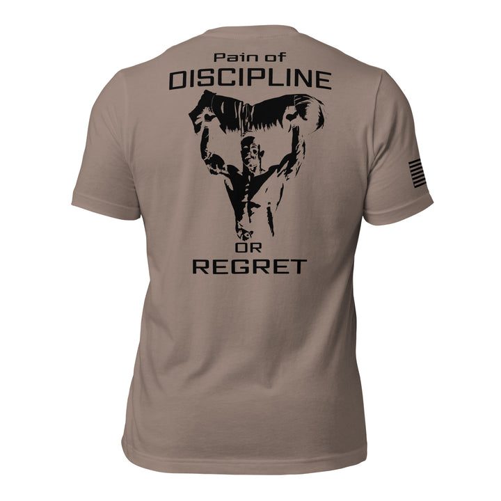 Pain of Discipline or Regret