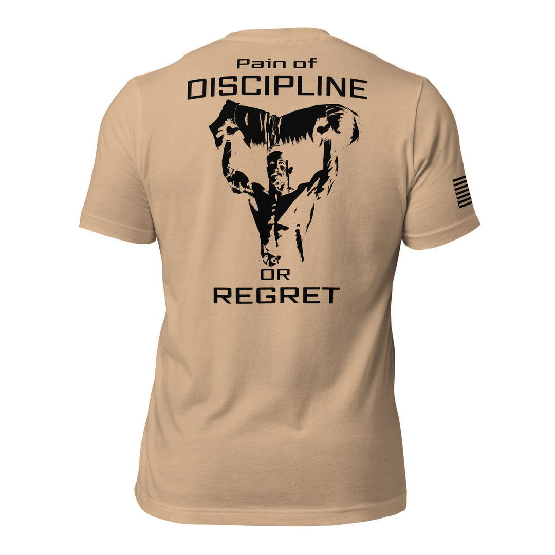 Pain of Discipline or Regret